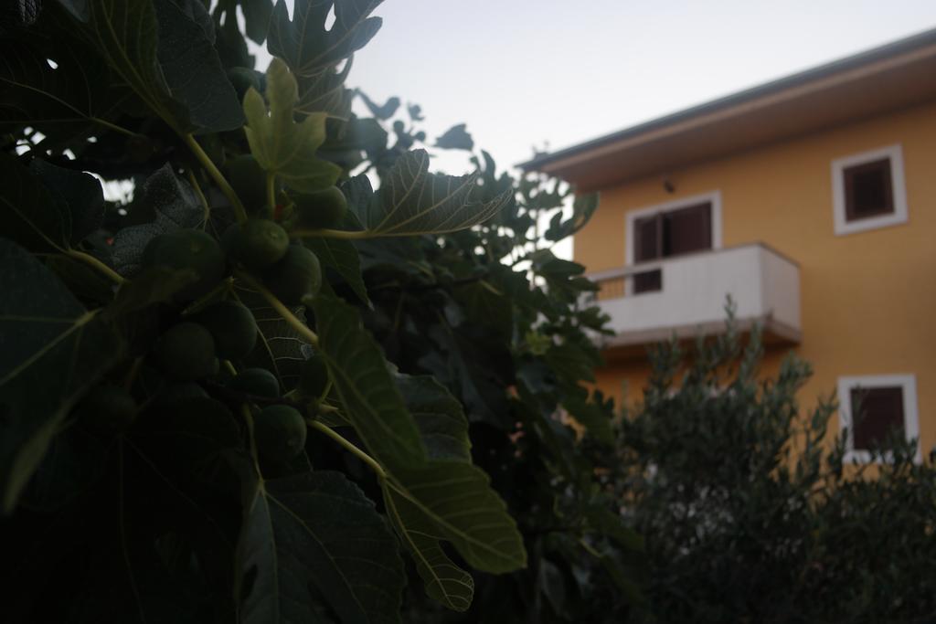 Apartment Lavanda Zára Kültér fotó